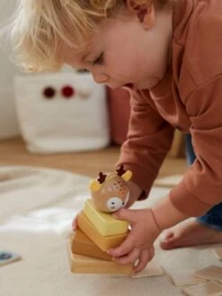 Trio De Tours à Empiler En Bois FSC® Bois - Vertbaudet 11 Trio De Tours à Empiler En Bois FSC® Bois - Vertbaudet -Produits Pour Enfants trio de tours a empiler en bois fsc 3