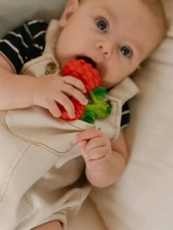 Valery La Framboise - OLI & CAROL Rouge - Oli Et Carol -Produits Pour Enfants valery la framboise oli carol 2