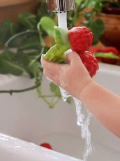 Valery La Framboise - OLI & CAROL Rouge - Oli Et Carol -Produits Pour Enfants valery la framboise oli carol 3